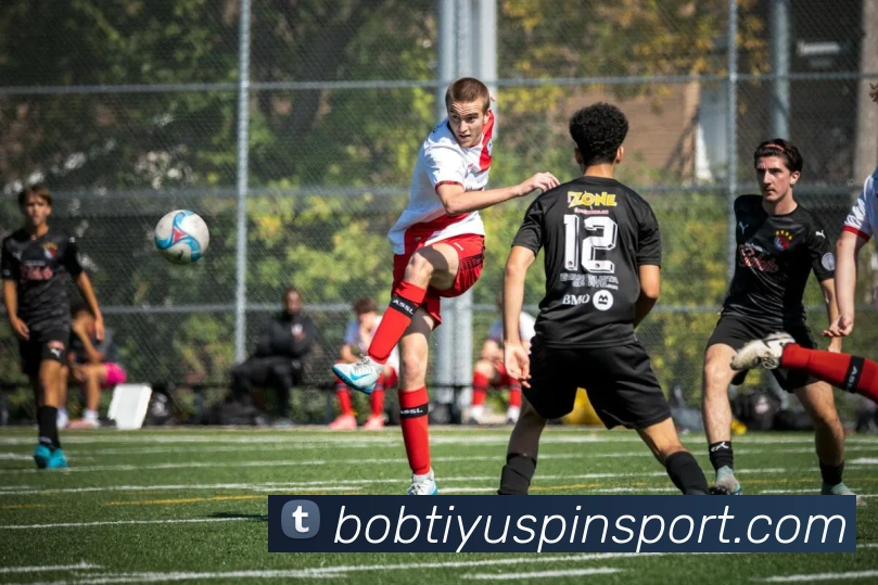 App Interface Preview